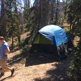 Review photo of Moosehorn Dispersed Camping by Spencer L., September 25, 2020