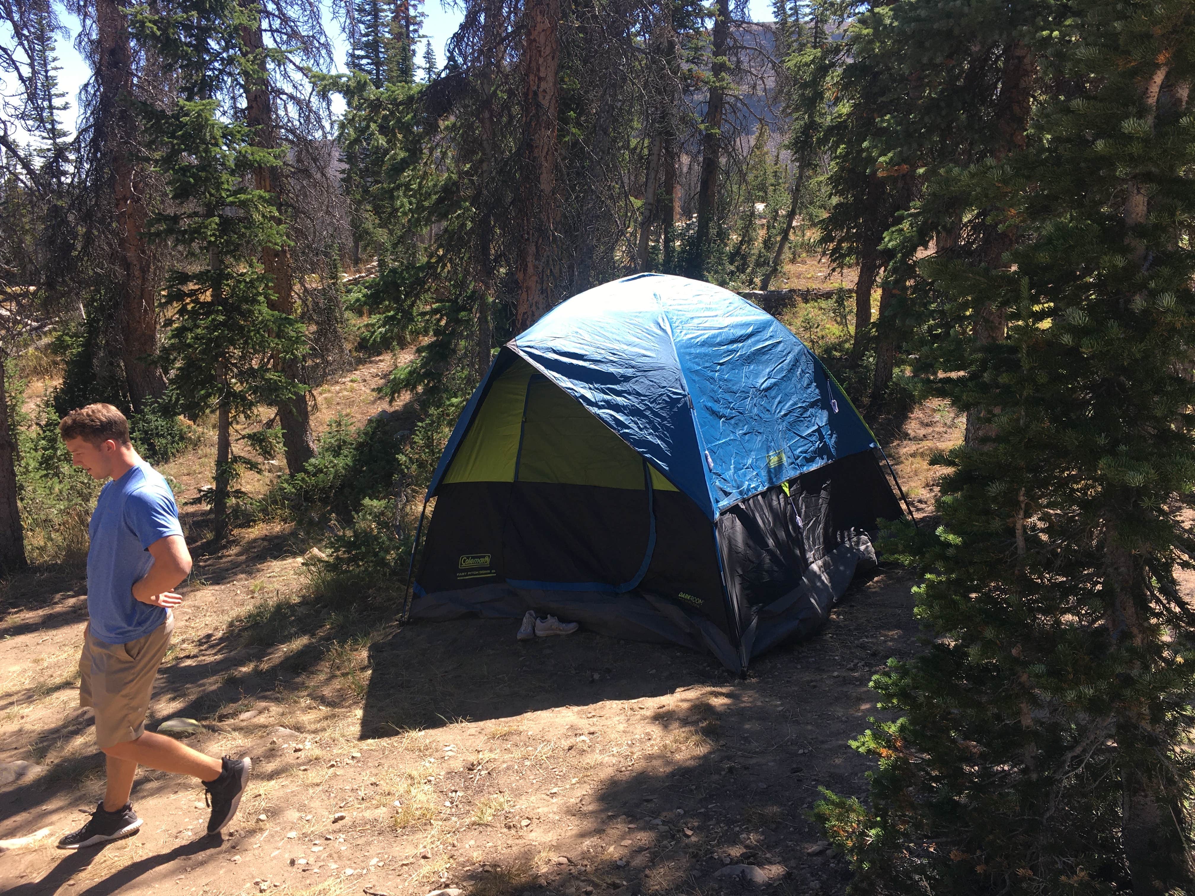 Camper submitted image from Moosehorn Dispersed Camping - 5