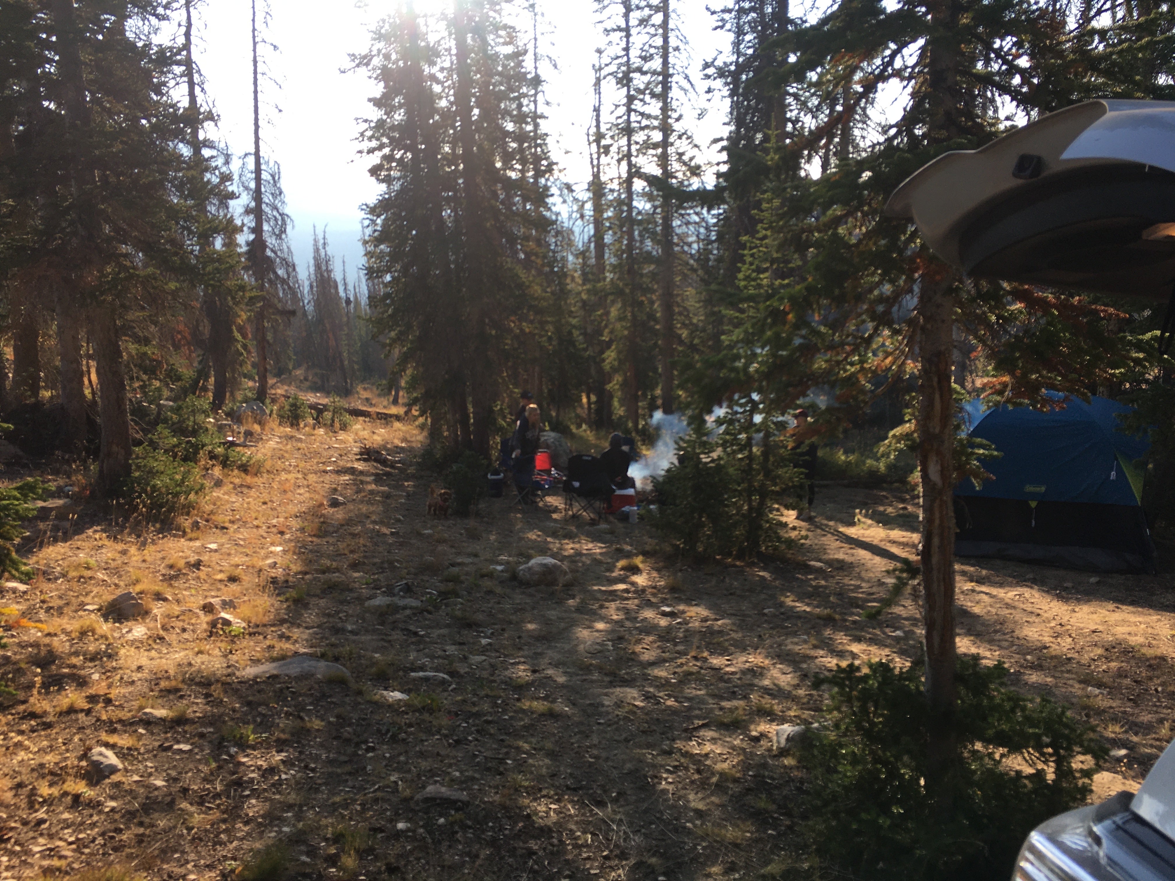 Camper submitted image from Moosehorn Dispersed Camping - 4