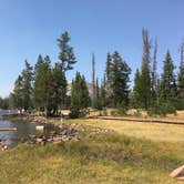 Review photo of Moosehorn Dispersed Camping by Spencer L., September 25, 2020