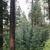Review photo of Vallecito Campground by Ben G., September 25, 2020