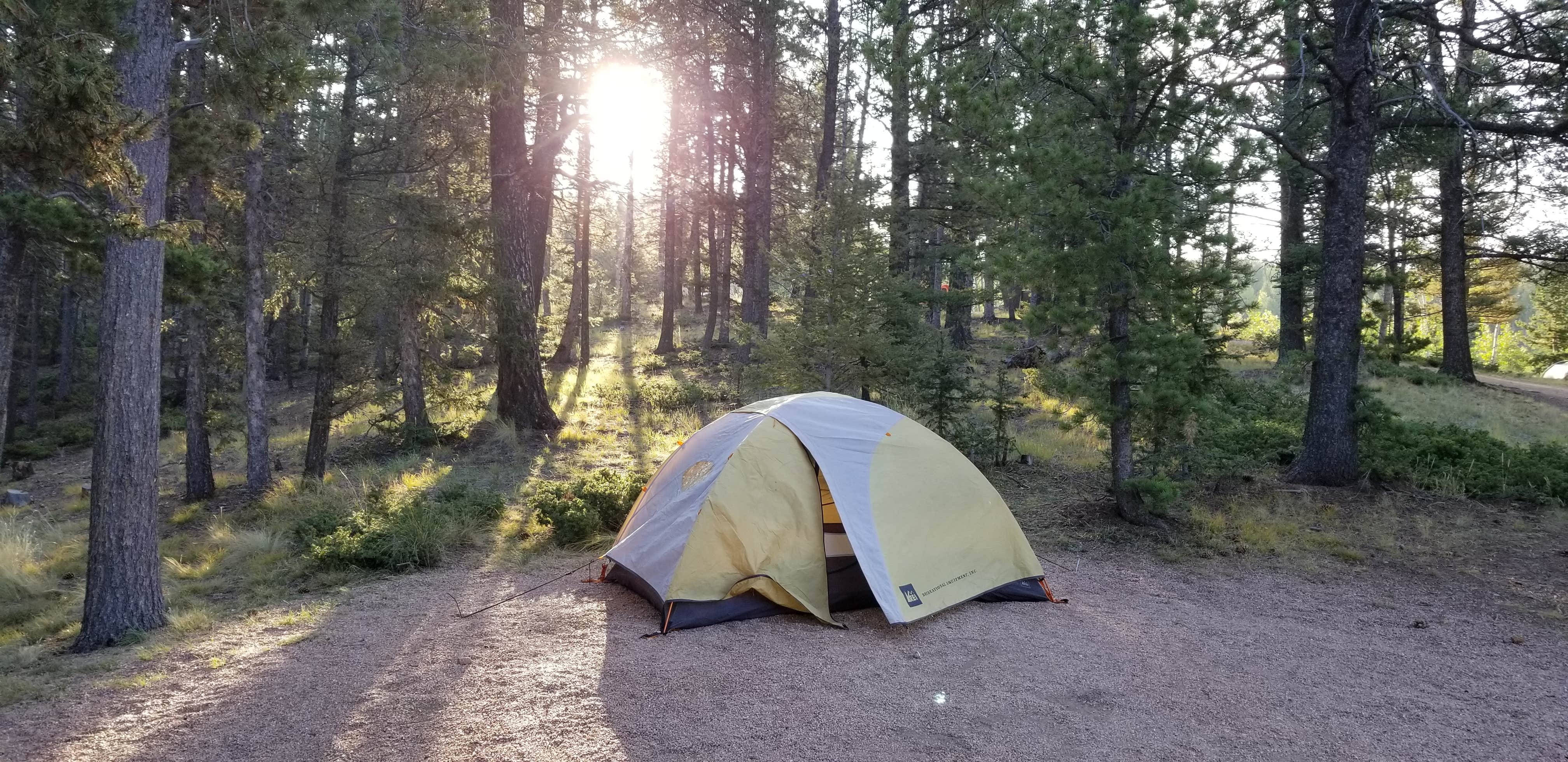 Jacob  B.'s photo at Mueller State Park Campground near Divide, CO