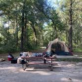 Review photo of Skidaway Island State Park Campground by Caroline S., September 26, 2020