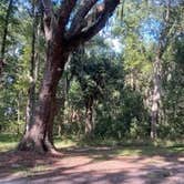 Review photo of Skidaway Island State Park Campground by Caroline S., September 26, 2020