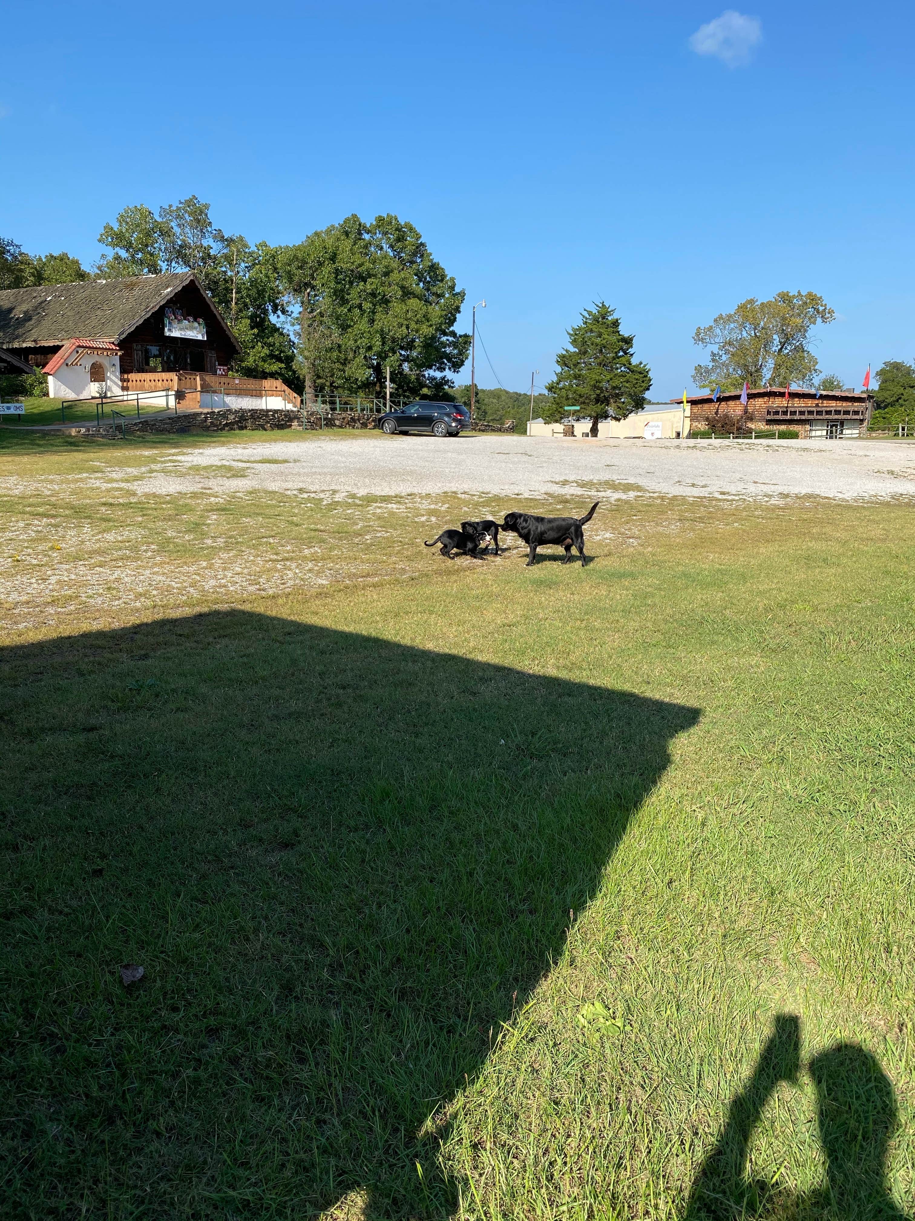 Camper-submitted photo at Wiederkehr Winery RV Park near Alix, AR