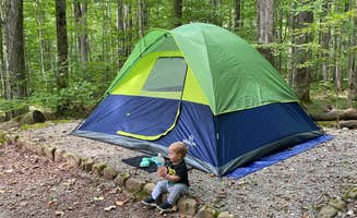 Riley F.'s photo at Grindstone near Saltville, VA