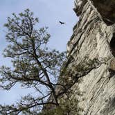 Review photo of Pilot Mountain State Park Campground — Pilot Mountain State Park by kenneth M., May 18, 2018