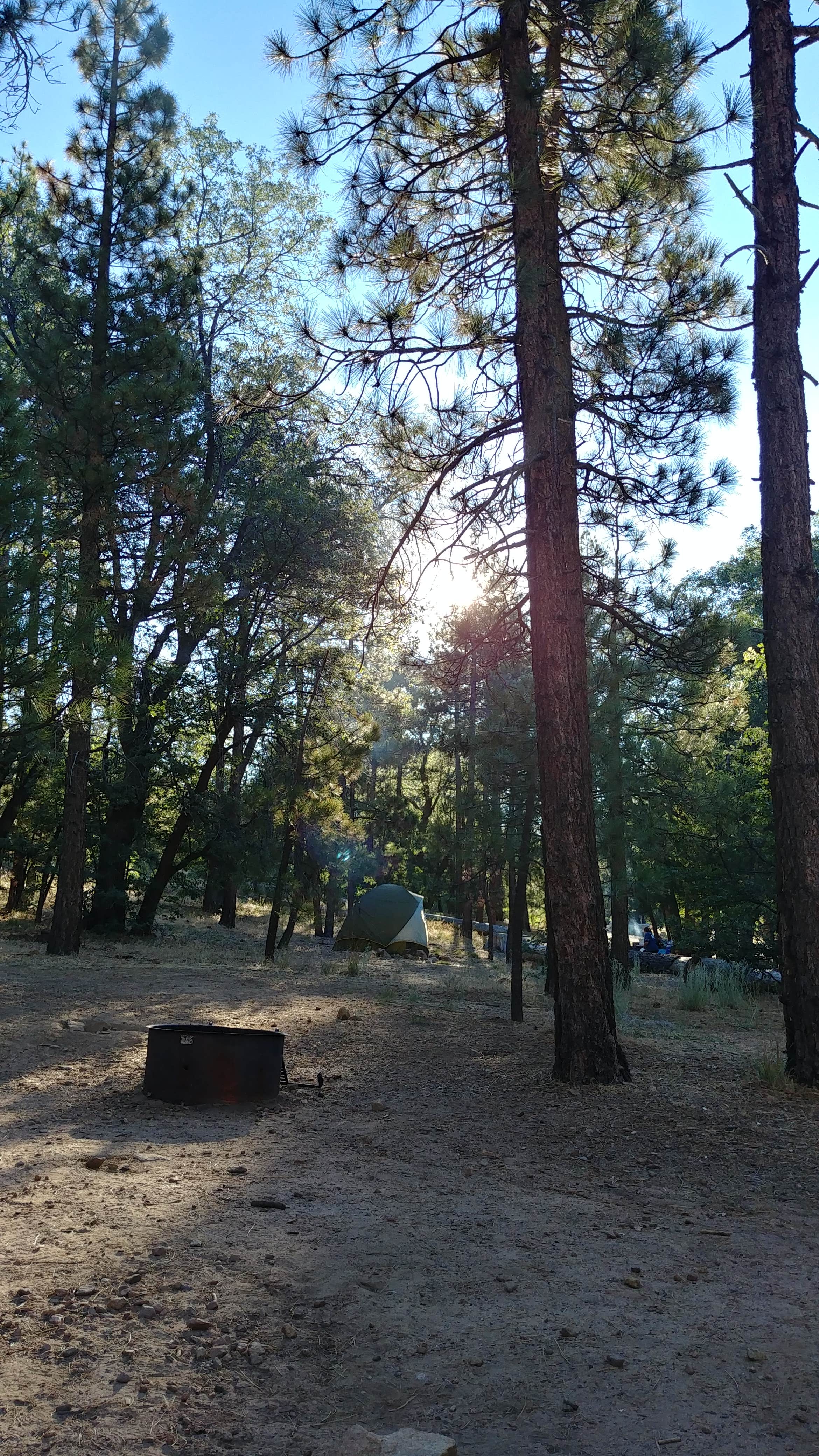 M W.'s photo at San Gorgonio Campground near Forest Falls, CA