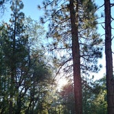 Review photo of San Gorgonio Campground by M W., September 26, 2020