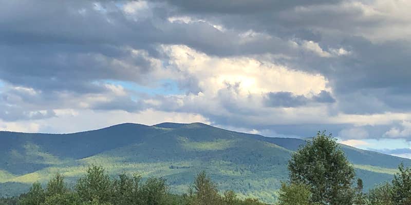 Camper submitted image from Rogers Campground & Motel