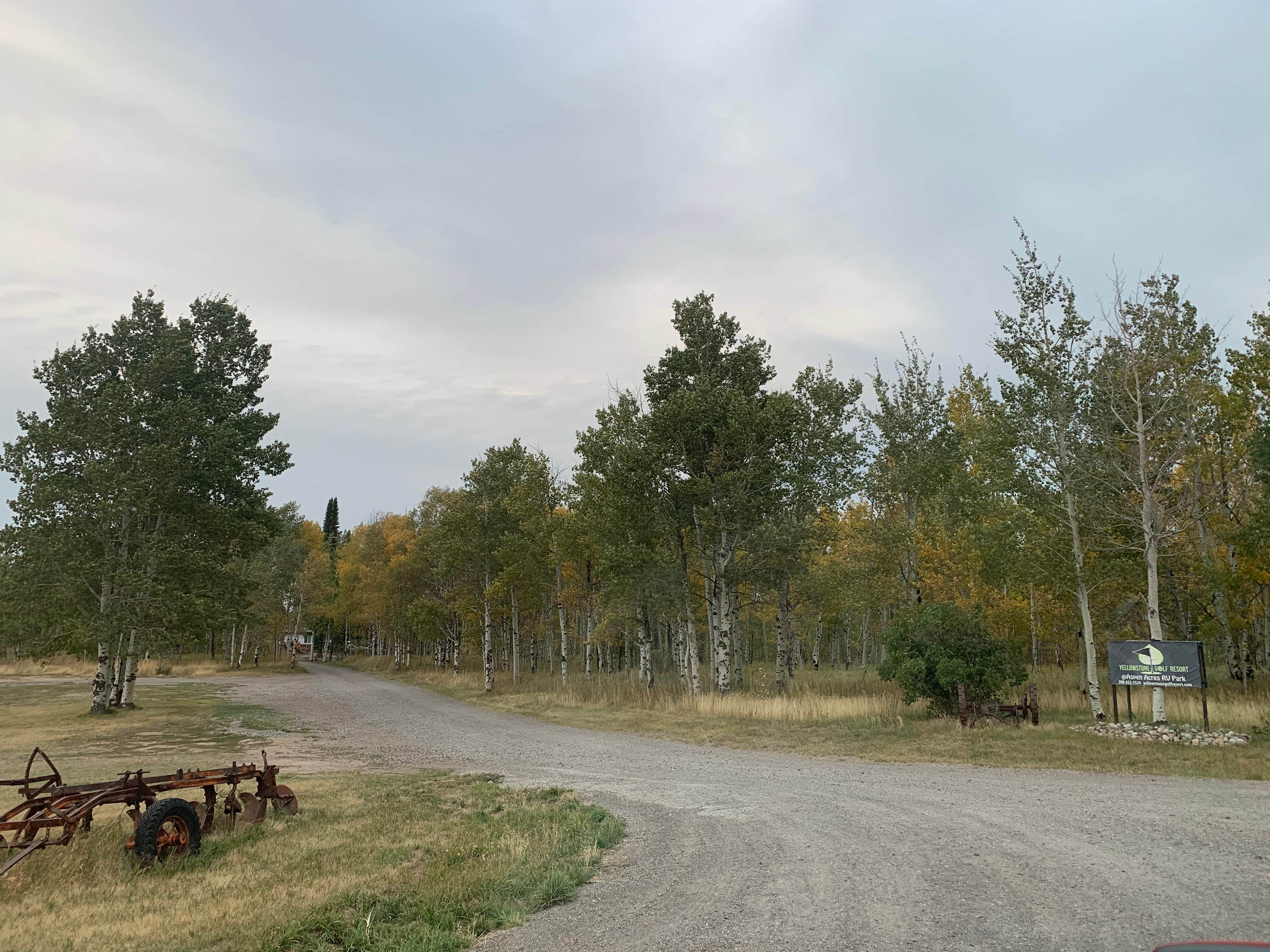 Camper submitted image from Yellowstone Golf Resort at Aspen Acres RV Park - 2