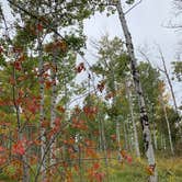 Review photo of Yellowstone Golf Resort at Aspen Acres RV Park by Jim M., September 26, 2020