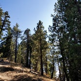 Review photo of Tehachapi Mountain Park by Chris B., September 26, 2020