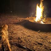 Review photo of Bennett Field Campground - Tiger Bay State Forest by Alyssa D., September 20, 2020