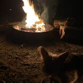 Review photo of Bennett Field Campground - Tiger Bay State Forest by Alyssa D., September 20, 2020