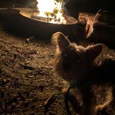 Review photo of Bennett Field Campground - Tiger Bay State Forest by Alyssa D., September 20, 2020