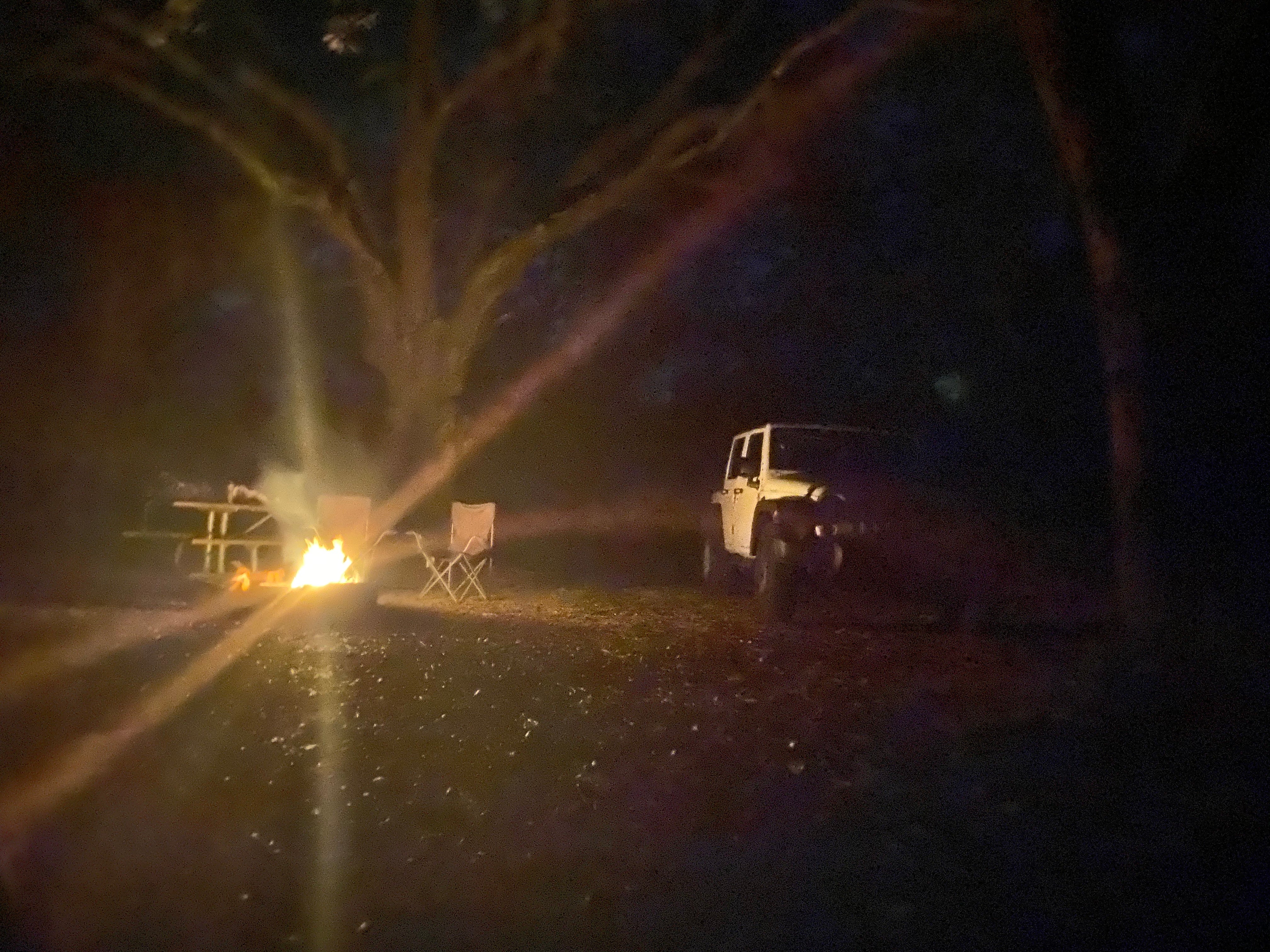 Camper submitted image from Bennett Field Campground - Tiger Bay State Forest - 4