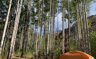 Alexandra T.'s photo at Water Canyon Recreation Area in Nevada