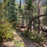 Review photo of Bear Canyon Lake and Camping Area by Sylvia , September 26, 2020