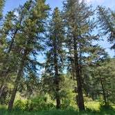 Review photo of Timon Campground by Ryan , September 26, 2020