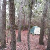 Review photo of Little Manatee River State Park Campground by Jeanene A., May 18, 2018
