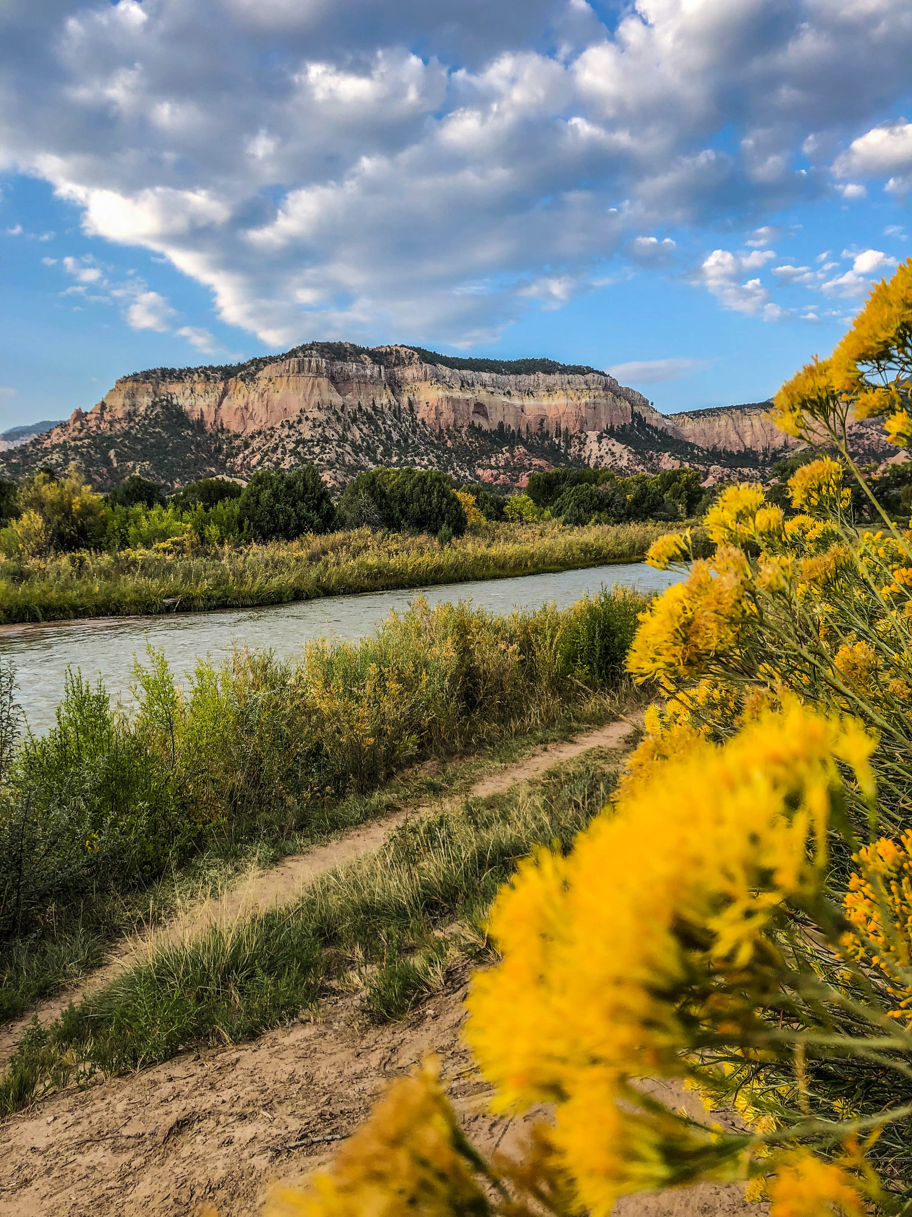 Camper submitted image from Rio Chama Campground - 2