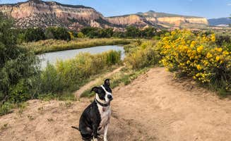 Joselyn A.'s photo of camping with pets at Rio Chama Campground near Cuba, NM
