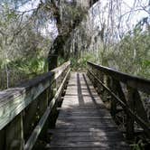 Review photo of Little Manatee River State Park Campground by Jeanene A., May 18, 2018