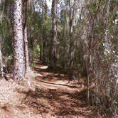 Review photo of Little Manatee River State Park Campground by Jeanene A., May 18, 2018