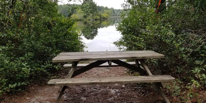 Camper submitted image from Sesquicentennial State Park Campground