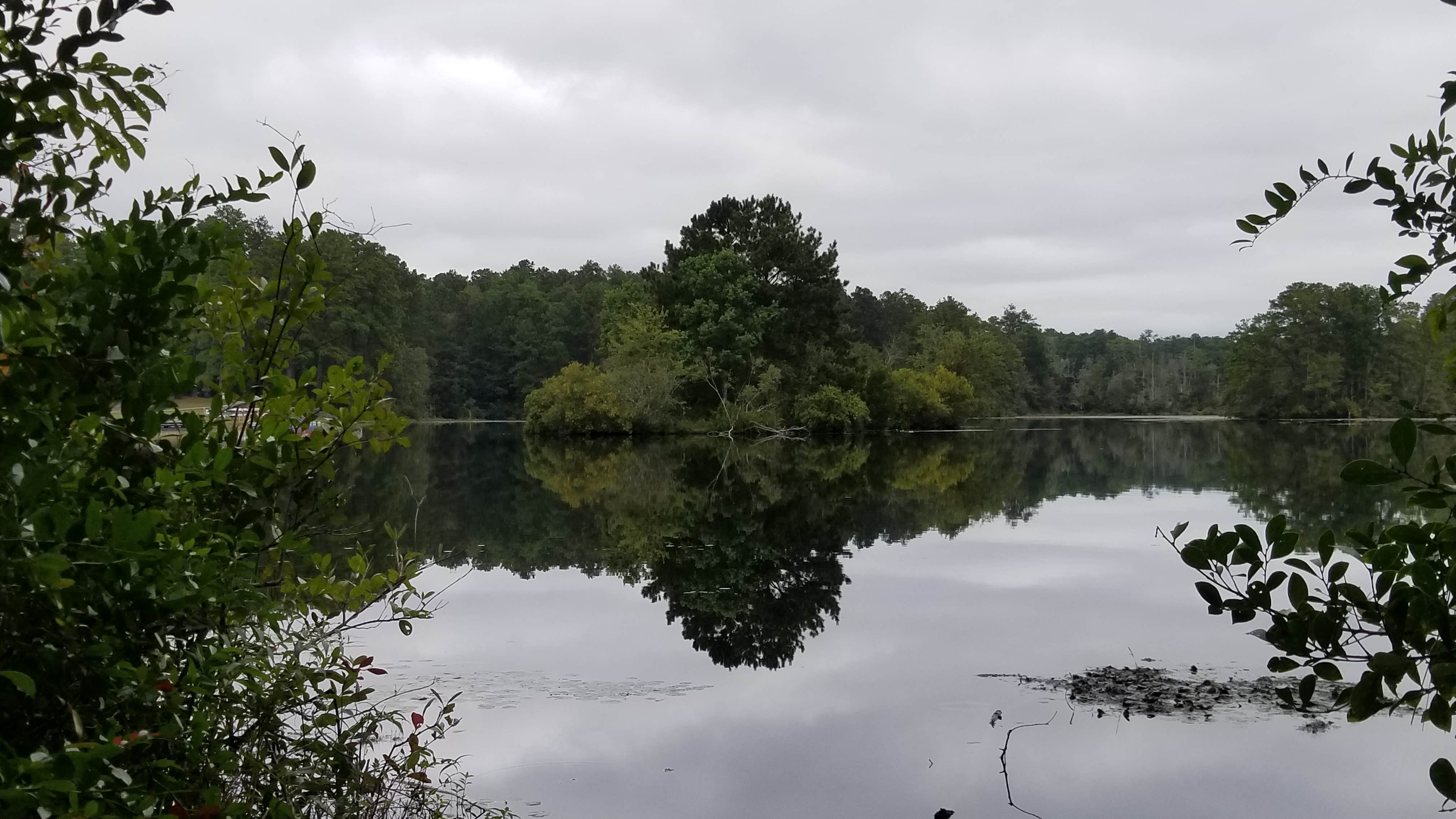 Camper-submitted photo at Sesquicentennial State Park Campground near Elgin, SC