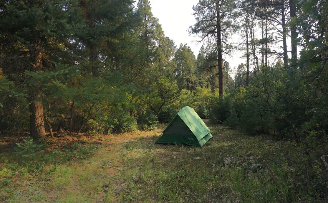 Del Norte Dispersed Camping The Dyrt