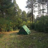 Review photo of Del Norte Dispersed Camping by Jeni N., September 26, 2020