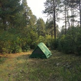 Review photo of Del Norte Dispersed Camping  by Jeni N., September 26, 2020
