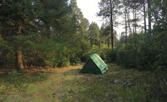 Jeni N.'s photo of a dispersed camping area at Del Norte Dispersed Camping near Los Ojos, NM