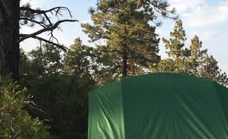 Jeni N.'s photo at Madden Peak Road - Dispersed near San Juan National Forest