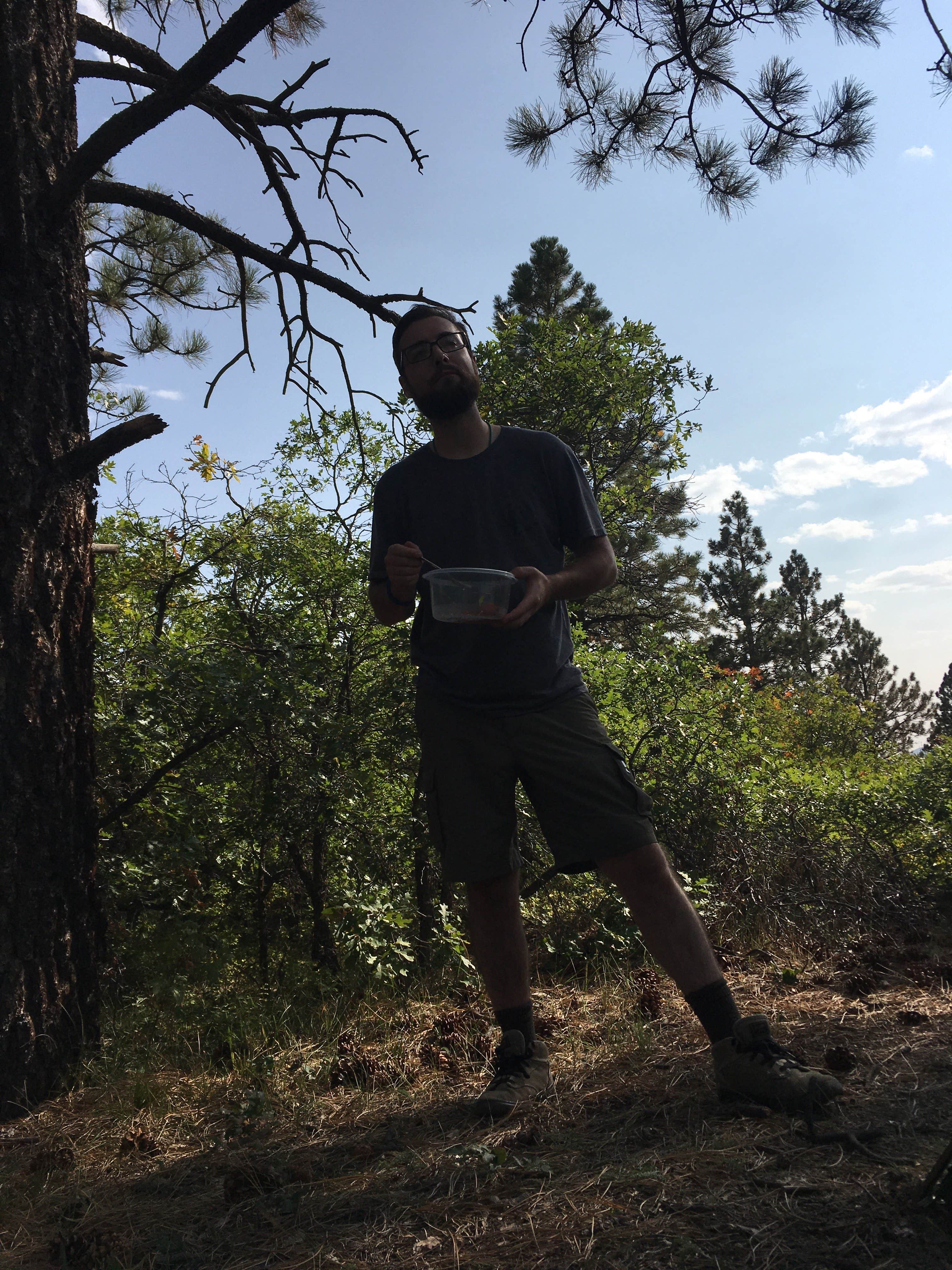 Camper-submitted photo at Madden Peak Road - Dispersed near Shiprock, NM