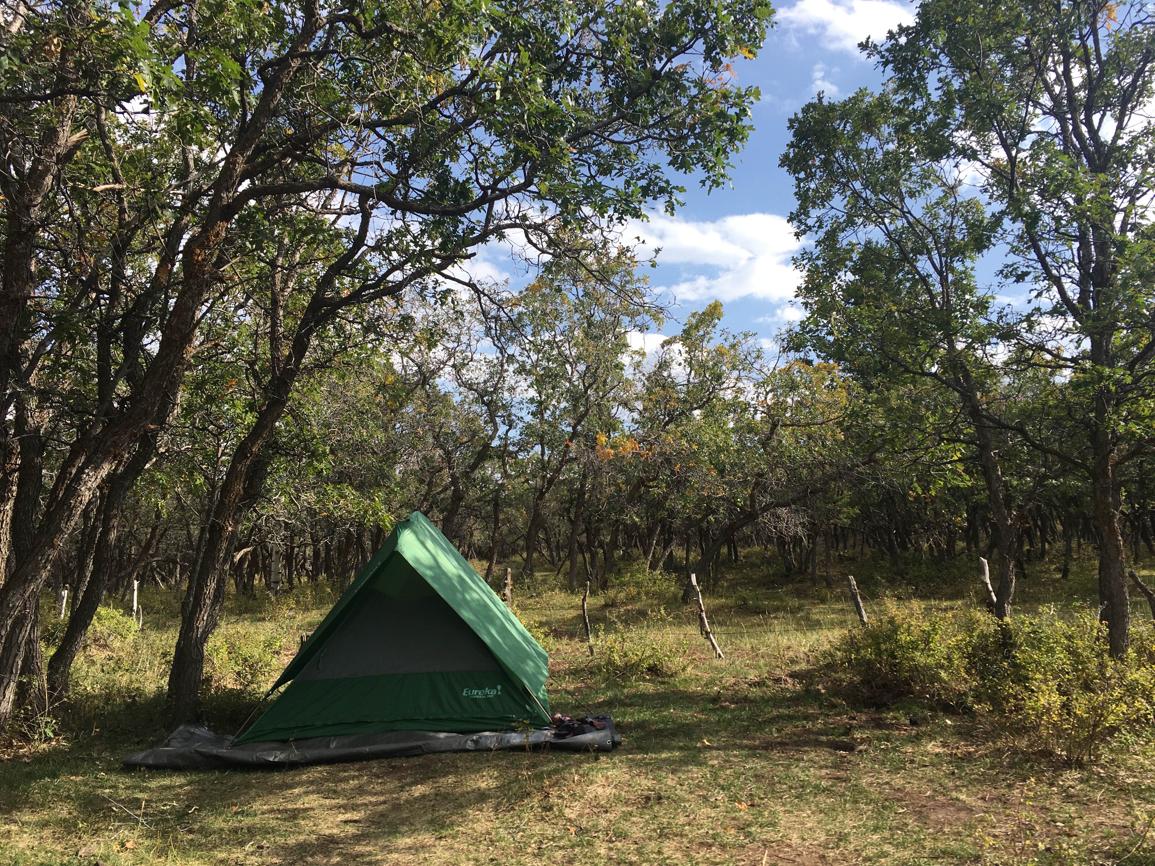 Jeni N.'s photo at Cr 0083 near Dove Creek, CO