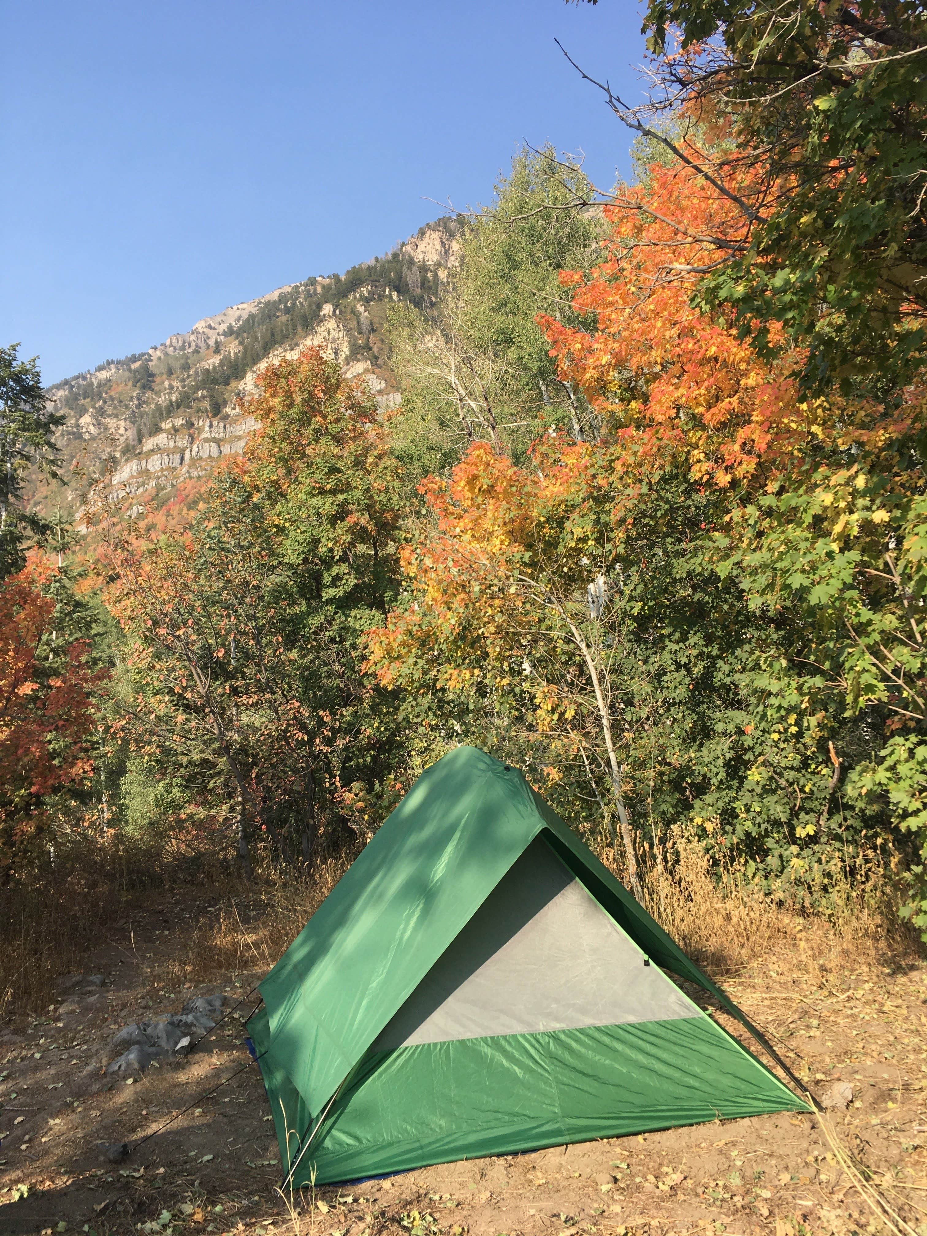 Jeni N.'s photo of a dispersed camping area at Squaw Peak Road Dispersed near Mounthaven, UT