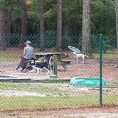 Review photo of Sesquicentennial State Park Campground by L O., September 26, 2020
