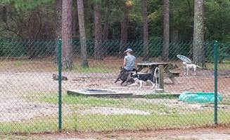 L O.'s photo of camping with pets at Sesquicentennial State Park Campground near Elgin, SC