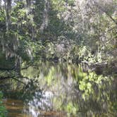 Review photo of Little Manatee River State Park Campground by Jeanene A., May 18, 2018