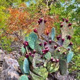 Review photo of Lake Brownwood State Park Campground by Mic R., September 26, 2020