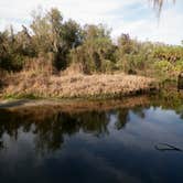 Review photo of Little Manatee River State Park Campground by Jeanene A., May 18, 2018