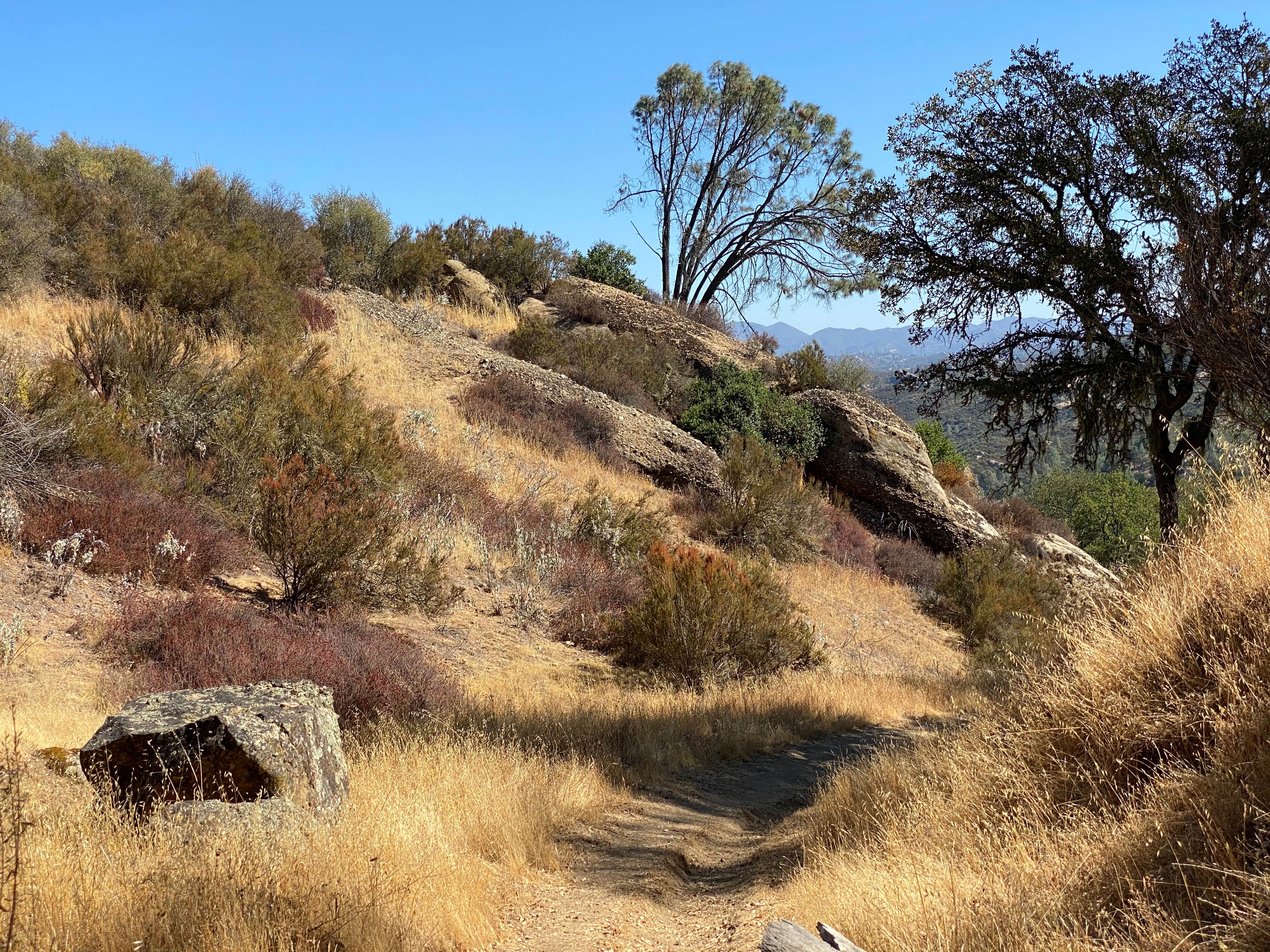 Camper-submitted photo at KOA Campground Santa Margarita near Morro Bay, CA