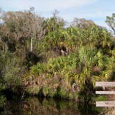 Review photo of Little Manatee River State Park Campground by Jeanene A., May 18, 2018