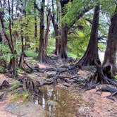 Review photo of Pedernales Falls State Park Campground by Mic R., September 26, 2020