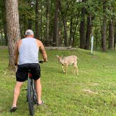 Review photo of Lake of the Ozarks State Park Campground by Anthony C., September 26, 2020