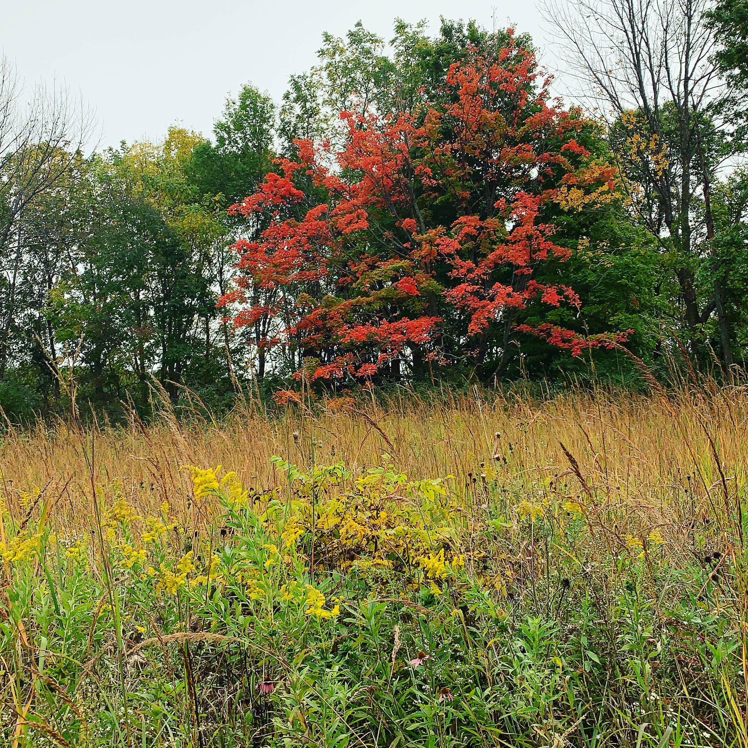 Camper submitted image from Morrison-Rockwood State Park - 2