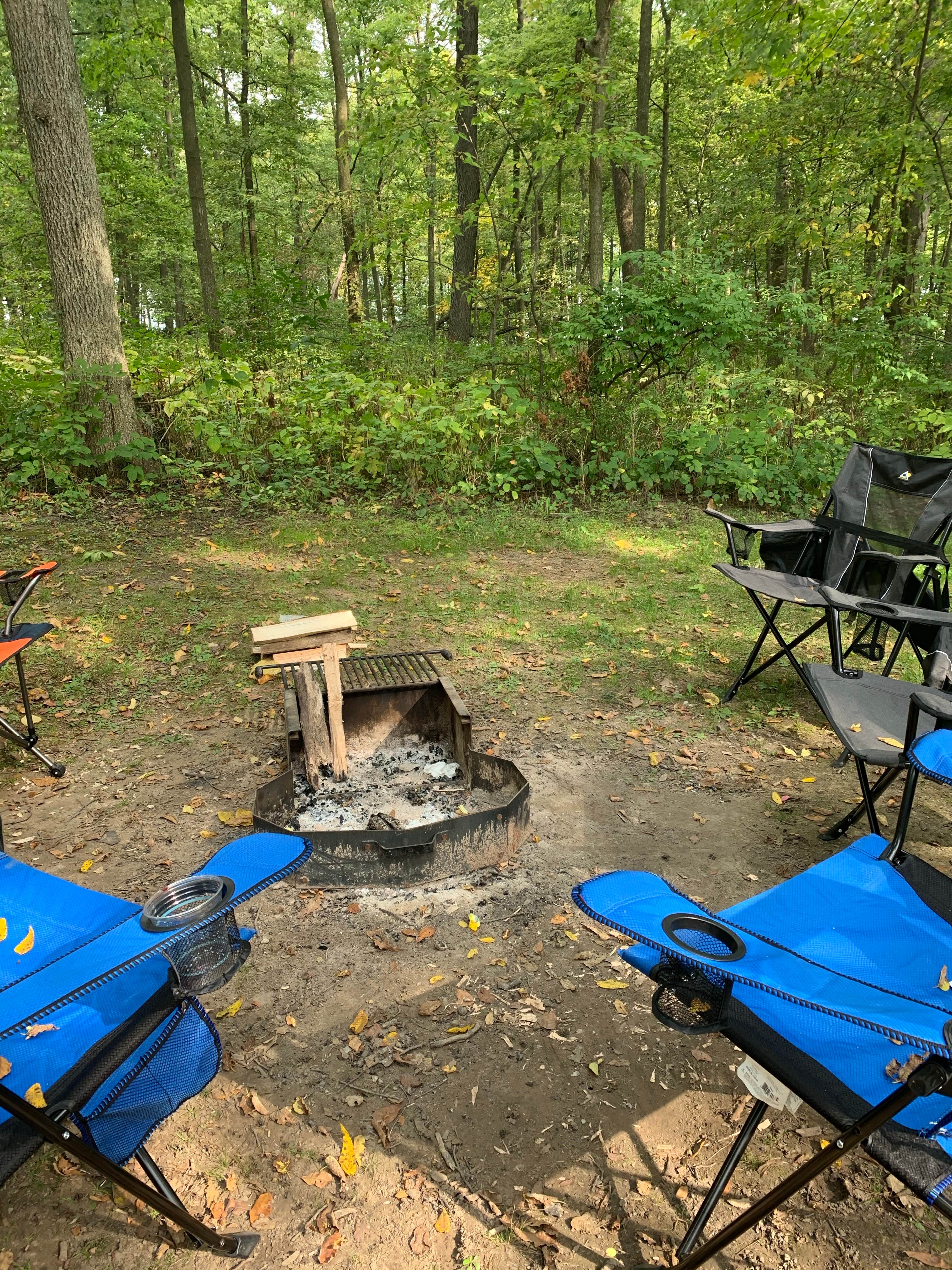 Camper submitted image from Morrison-Rockwood State Park - 3